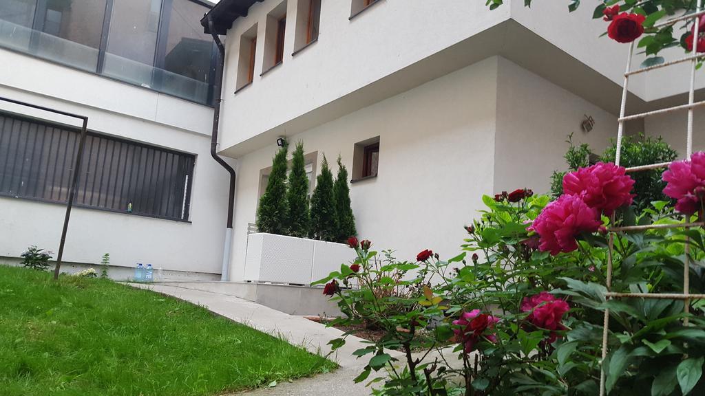Dalia * Sarajevo